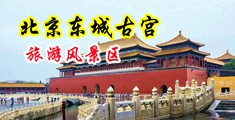 换妻肛交经历中国北京-东城古宫旅游风景区
